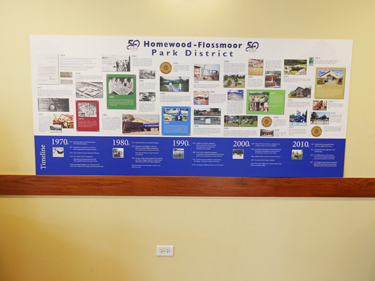 Timeline display